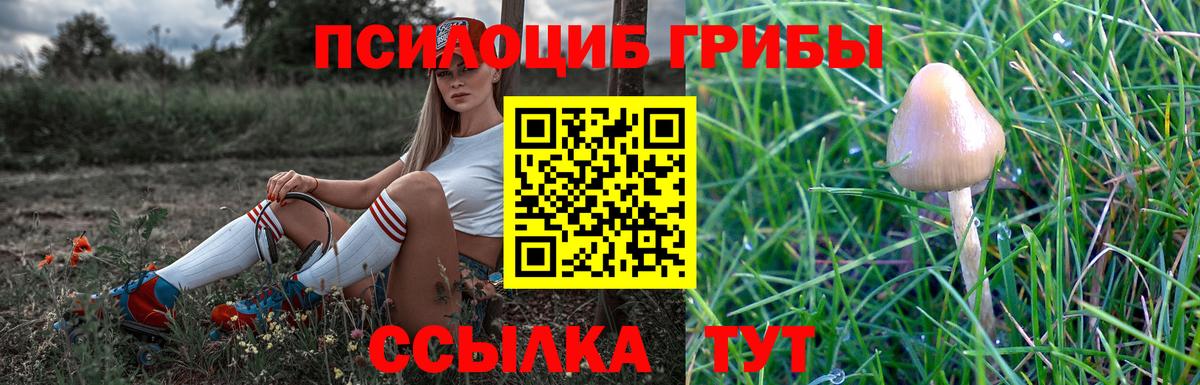 Галлюциногенные грибы мицелий  наркотики  Лобня  Вход с VPN 